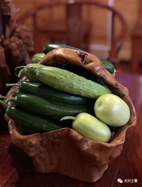 吃日本瓜的网红